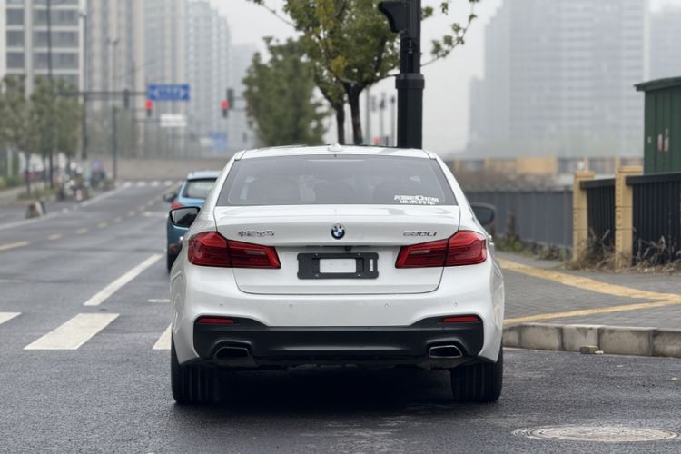 Used BMW 5 Series 2018 530Li Leading Model M Sport Package Exterior 7