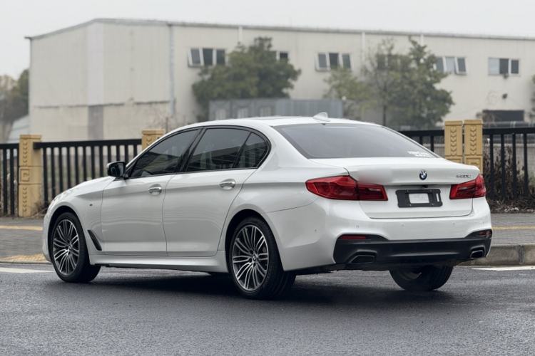 Used BMW 5 Series 2018 530Li Leading Model M Sport Package Exterior 8