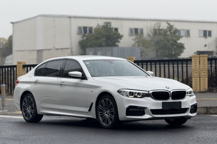 Used BMW 5 Series 2018 530Li Leading Model M Sport Package Exterior 9