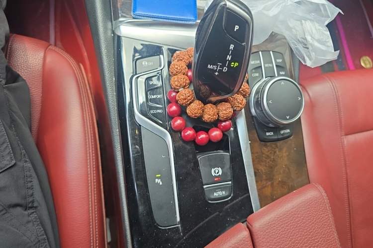 Used BMW 5 Series 2018 528Li Launch Special Edition Gear Lever