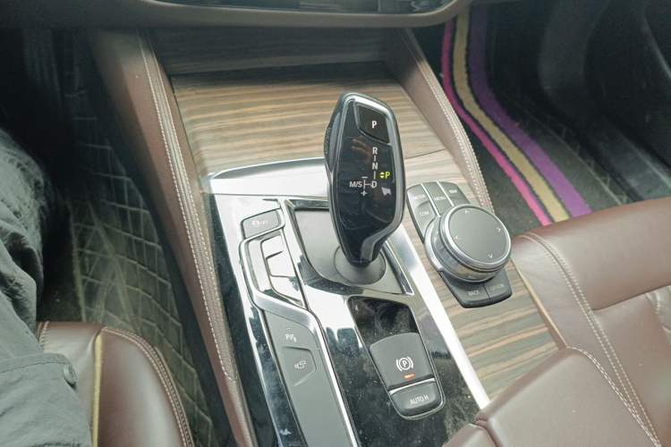 Used BMW 5 Series 2018 530Li Luxury Edition Premium Package Gear Lever