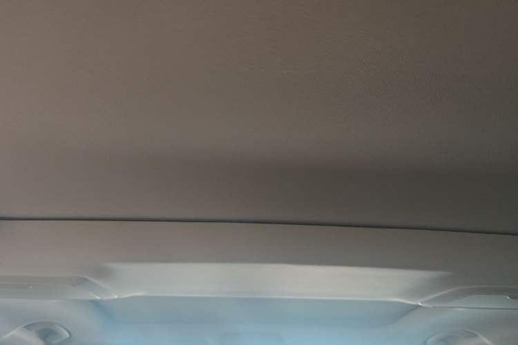 Used BMW 5 Series 2018 Facelifted 530Li Luxury Edition Premium Package Headliner