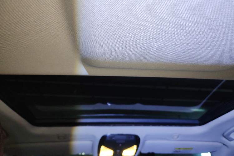 Used BMW 5 Series 2018 528Li Launch Special Edition Headliner