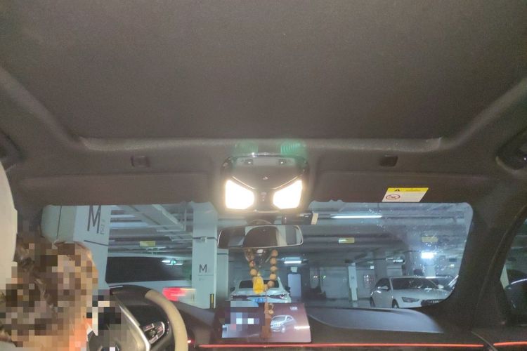 Used BMW 5 Series 2018 525Li M Sport Package Headliner