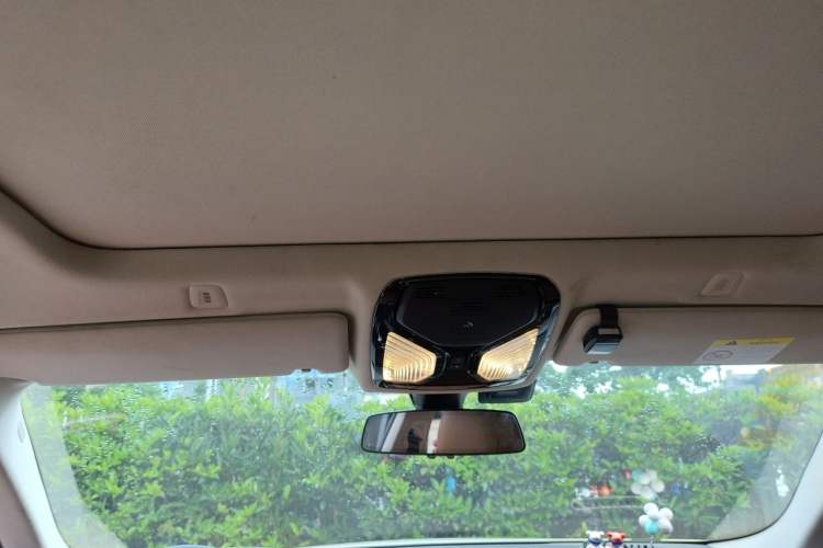 Used BMW 5 Series 2018 528Li Launch Special Edition Headliner