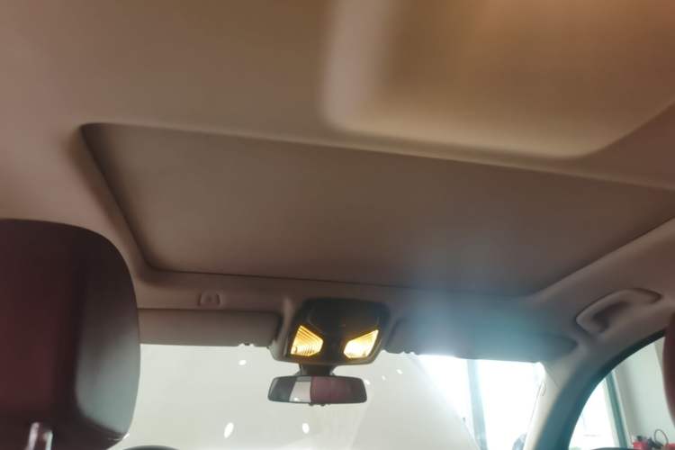 Used BMW 5 Series 2018 528Li Launch Special Edition Headliner