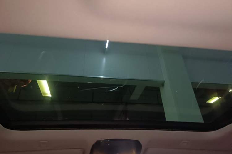 Used BMW 5 Series 2018 528Li Launch Special Edition Headliner