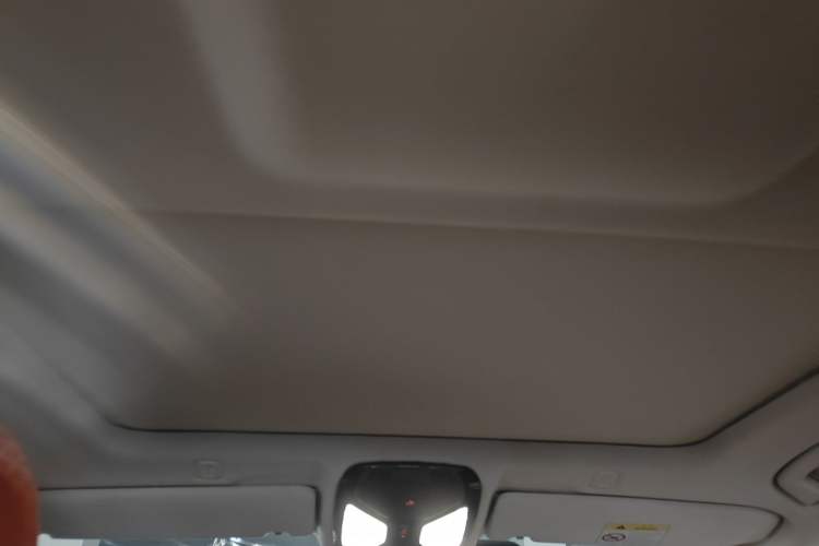 Used BMW 5 Series 2018 528Li Launch Special Edition Headliner