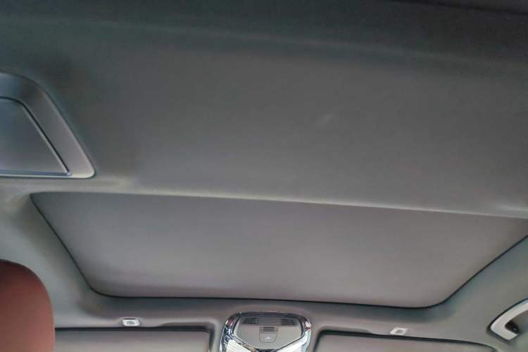 Used BMW 5 Series 2018 Restyled 530Li Luxury Edition M Sport Package Headliner