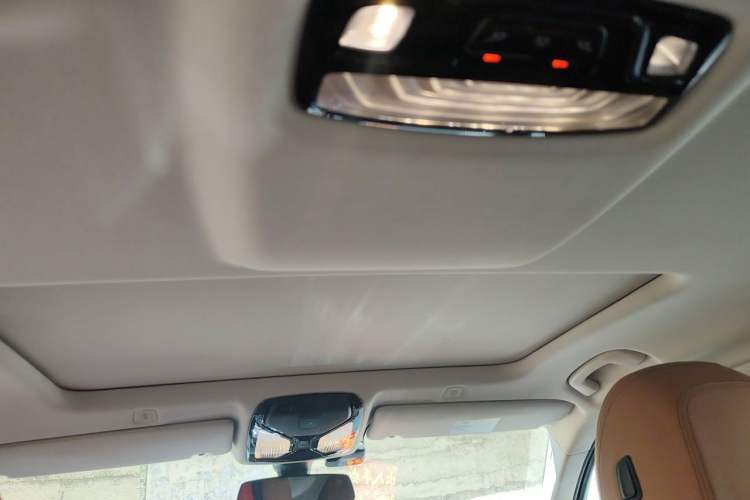 Used BMW 5 Series 2018 528Li Launch Special Edition Headliner