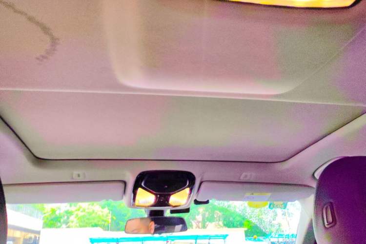 Used BMW 5 Series 2018 525Li Luxury Package Headliner