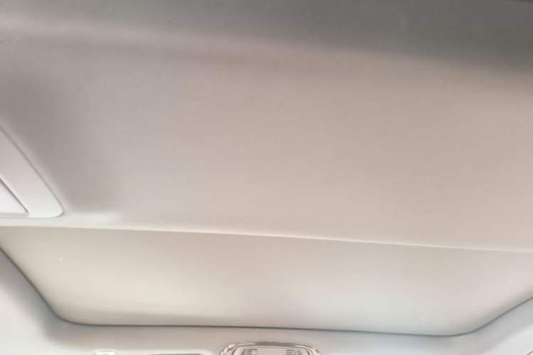 Used BMW 5 Series 2018 530Li Leading Model M Sport Package Headliner
