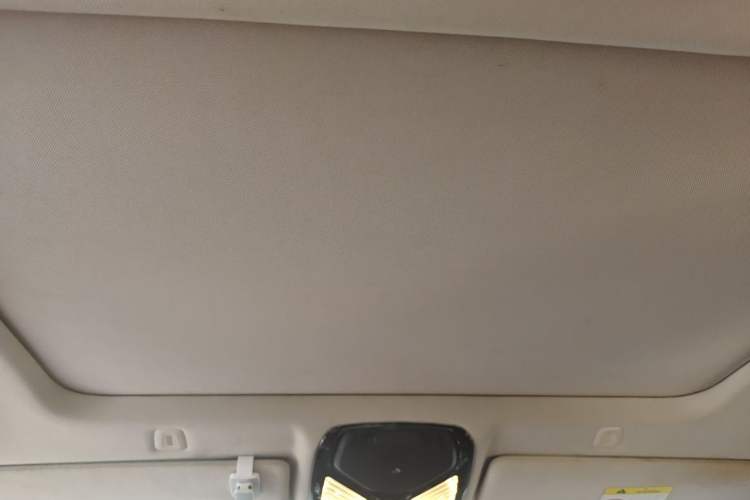 Used BMW 5 Series 2018 528Li Launch Special Edition Headliner