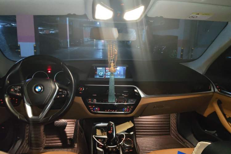 Used BMW 5 Series 2018 528Li Launch Special Edition Headliner