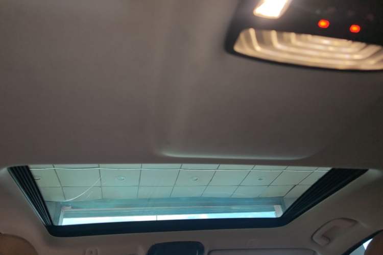 Used BMW 5 Series 2018 528Li Launch Special Edition Headliner