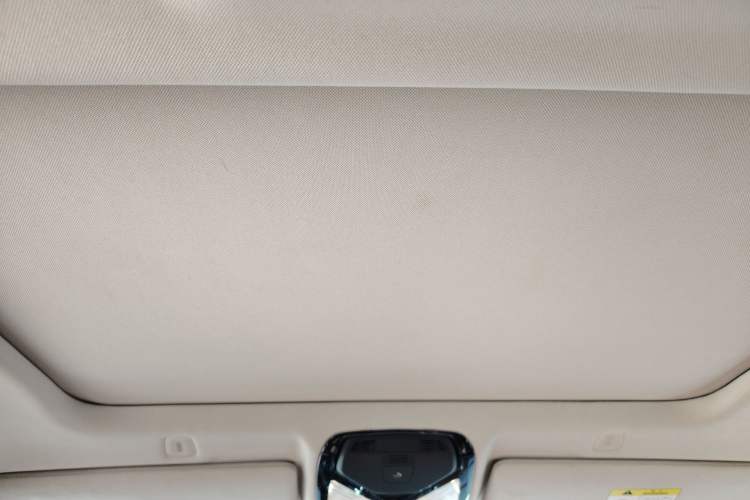 Used BMW 5 Series 2018 528Li Launch Special Edition Headliner