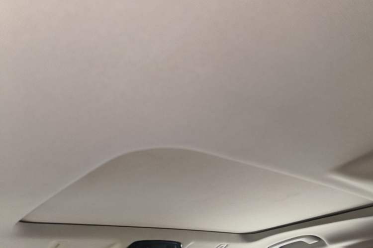 Used BMW 5 Series 2018 528Li Launch Special Edition Headliner
