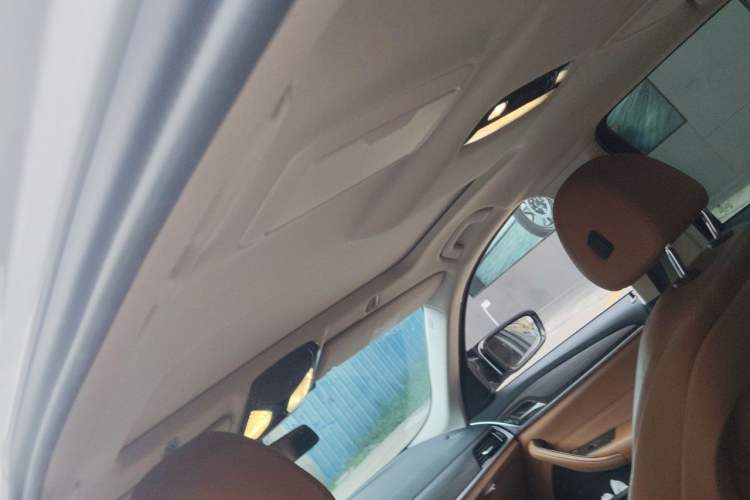 Used BMW 5 Series 2018 528Li Launch Special Edition Headliner