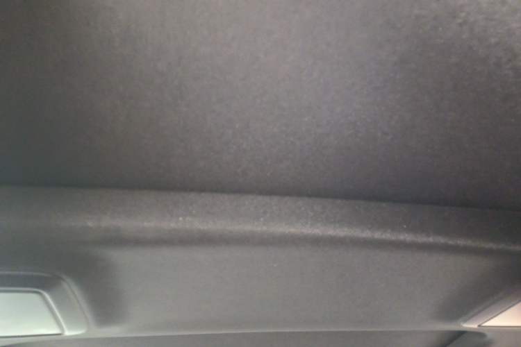 Used BMW 5 Series 2018 530Li Luxury Edition M Sport Package Headliner