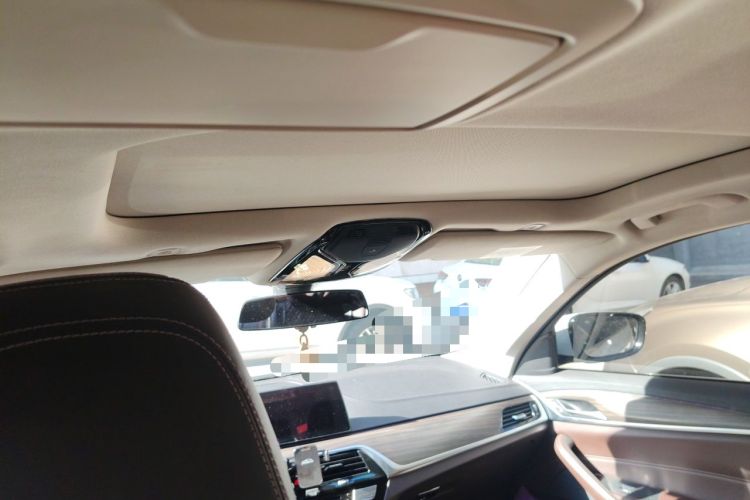 Used BMW 5 Series 2018 Revised Version 530Li Leading Edition Luxury Package Headliner