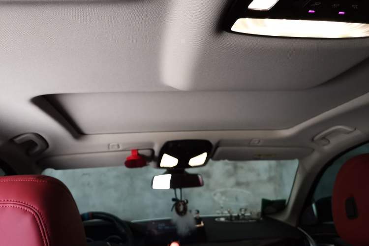 Used BMW 5 Series 2018 525Li Luxury Package Headliner