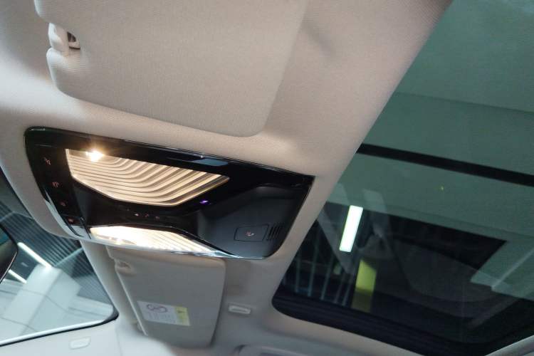Used BMW 5 Series 2018 Facelifted 530Li Luxury Edition Premium Package Headliner