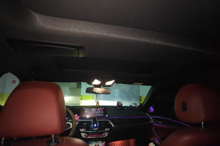 Used BMW 5 Series 2018 530Li Leading Model M Sport Package Headliner