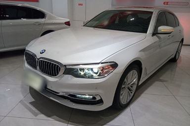 Used BMW 5 Series 2018 Revised Version 530Li Leading Edition Luxury Package