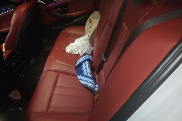 Used BMW 5 Series 2018 525Li M Sport Package Left Rear Seat