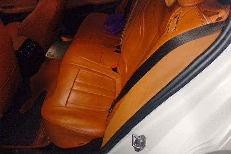 Used BMW 5 Series 2018 528Li Launch Special Edition Left Rear Seat
