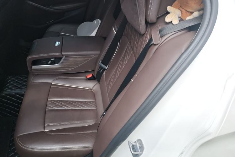 Used BMW 5 Series 2018 Revised Version 530Li Leading Edition Luxury Package Left Rear Seat