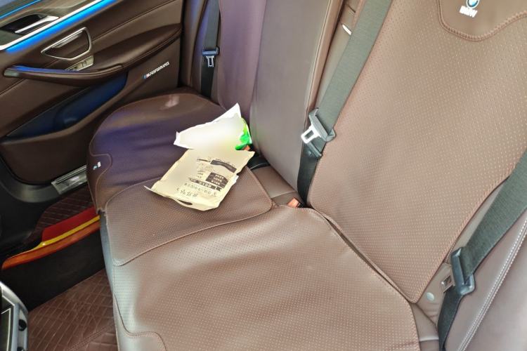 Used BMW 5 Series 2018 530Li Leading Edition Luxury Package Left Rear Seat