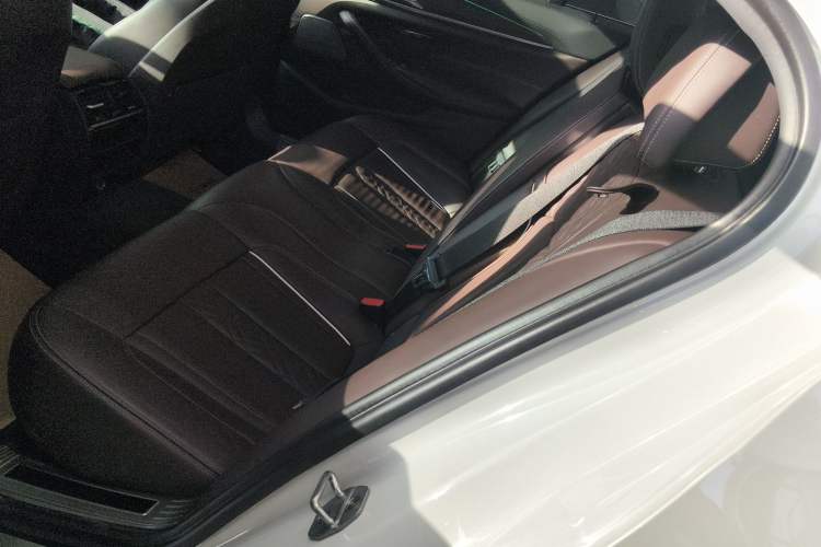 Used BMW 5 Series 2018 Revised Version 530Li Leading Edition Luxury Package Left Rear Seat
