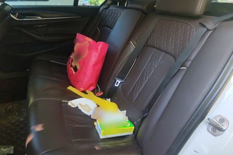 Used BMW 5 Series 2018 530Li xDrive Luxury Package Left Rear Seat