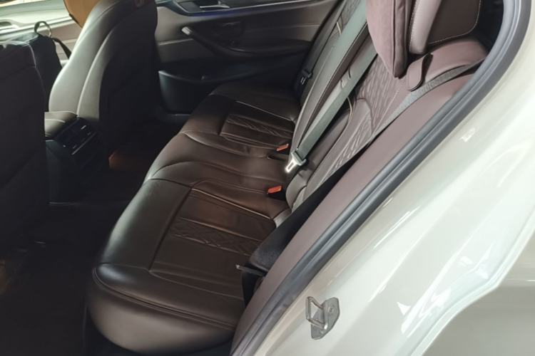 Used BMW 5 Series 2018 Revised Version 530Li Leading Edition Luxury Package Left Rear Seat