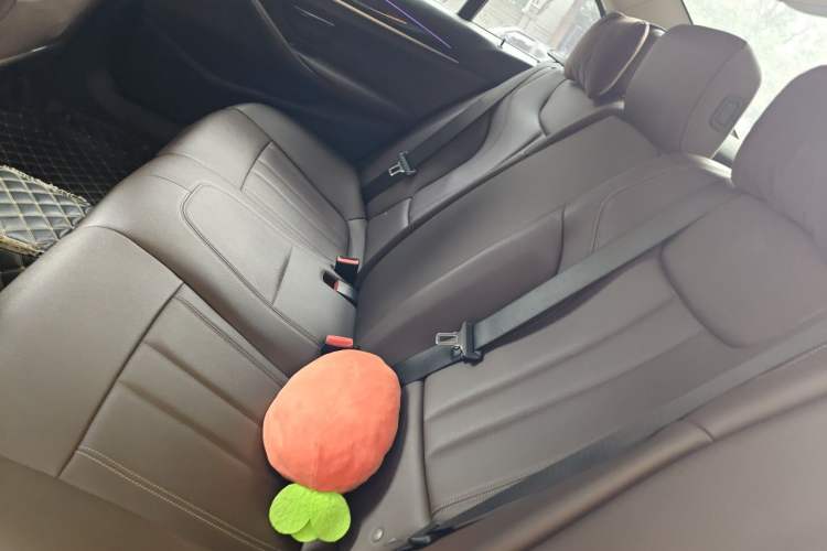 Used BMW 5 Series 2018 525Li Luxury Package Left Rear Seat