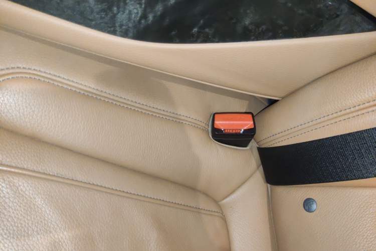 Used BMW 5 Series 2018 530Li Leading Model M Sport Package Left Rear Seat