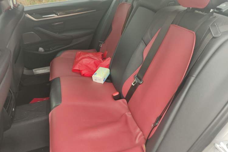Used BMW 5 Series 2018 525Li Luxury Package Left Rear Seat