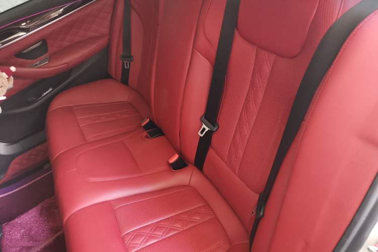 Used BMW 5 Series 2018 525Li Luxury Package Left Rear Seat