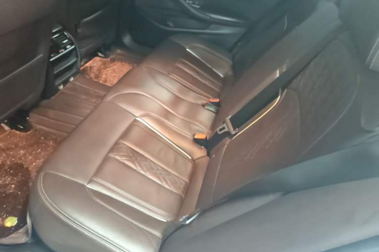 Used BMW 5 Series 2018 Facelifted 530Li xDrive Luxury Package Left Rear Seat