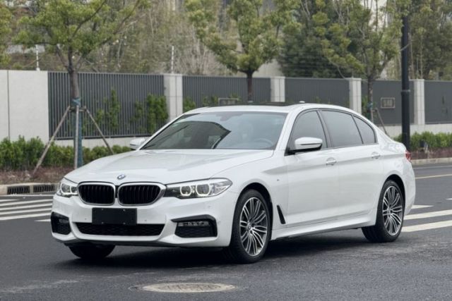 Used BMW 5 Series 2018 530Li Leading Model M Sport Package