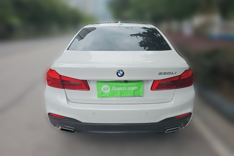 Used BMW 5 Series 2018 530Li Luxury Edition M Sport Package Rear
