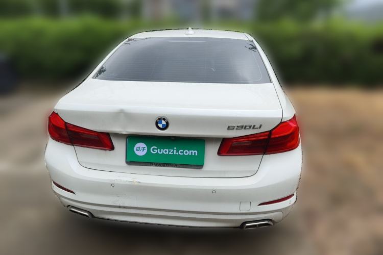 Used BMW 5 Series 2018 528Li Launch Special Edition Rear