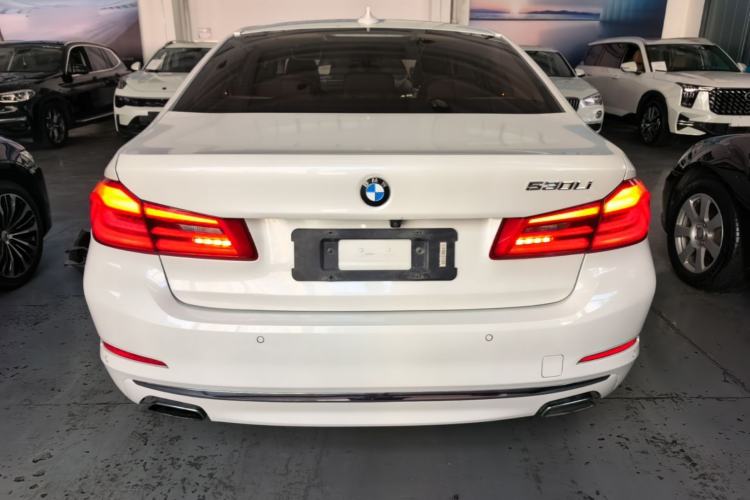 Used BMW 5 Series 2018 Revised Version 530Li Leading Edition Luxury Package Rear
