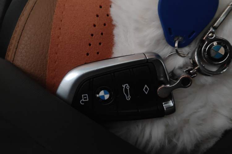 Used BMW 5 Series 2018 528Li Launch Special Edition Vehicle Key
