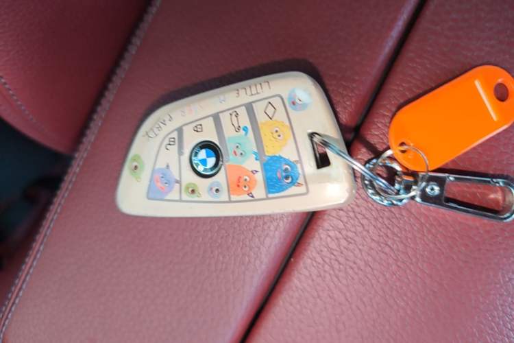 Used BMW 5 Series 2018 528Li Launch Special Edition Vehicle Key