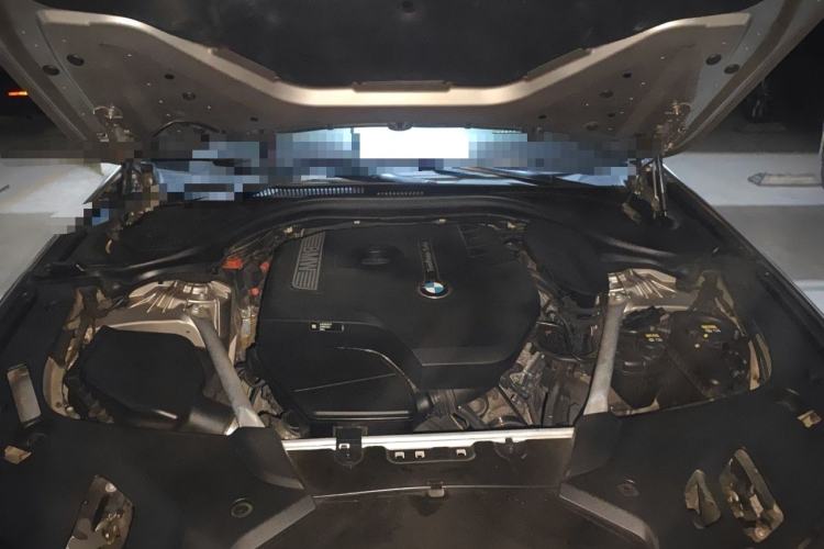 Used BMW 5 Series 2018 530Li Leading Edition Luxury Package Engine Bay