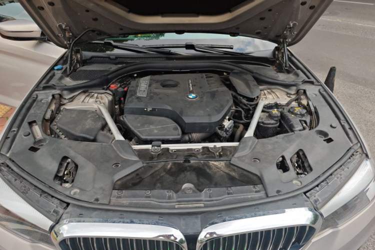 Used BMW 5 Series 2018 Revised Version 530Li Leading Edition Luxury Package Engine Bay