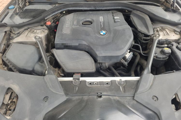 Used BMW 5 Series 2018 530Li Luxury Edition Premium Package Engine Bay