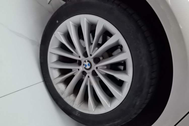 Used BMW 5 Series 2018 Revised Version 530Li Leading Edition Luxury Package Exterior 5